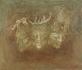 Bohov/Gods