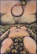 Vlet balnem/Ballon trip