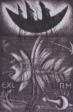 argonauti Exl/argonauts Exl