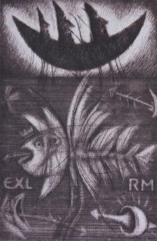 argonauts Exl